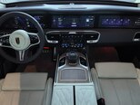 Hongqi E-HS9-10