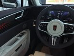 Hongqi E-HS9-23
