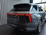 Hongqi E-HS9-6