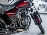 Haojue TF125-5