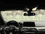 BMW 530-11