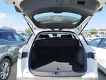 BYD Sea Lion 05-8