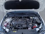 Toyota Corolla-15