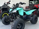 Mikilon PENTORA 110R-EFI-3