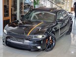 Dodge Charger-8