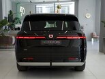 Denza N9-7