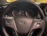 Hyundai Santa Fe-13
