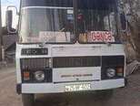 PAZ 32054-1