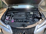 Lexus UX 300h-5