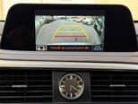 Lexus RX 300-18