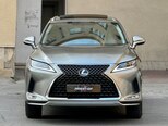 Lexus RX 300-14