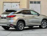 Lexus RX 300-13