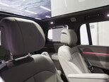Denza N9-24