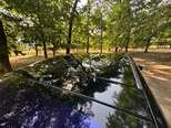 Toyota Prius-8