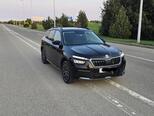 Skoda Kamiq-1