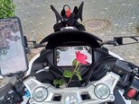 CFMOTO 300 SR-S-3