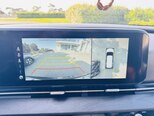 Kia Carnival-11