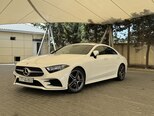 Mercedes CLS 300-1
