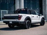Ford F-150-8