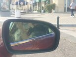Ford Fusion (North America)-13