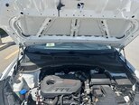 Hyundai Santa Fe-18