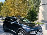 Hyundai Santa Fe-10