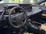Lexus ES 300h-8