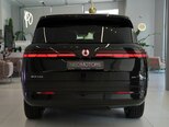Denza N9-7