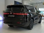 Denza N9-8