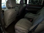 Denza N9-25