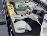 Denza N9-13