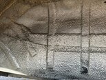 Ford Transit-7