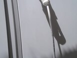 Ford Transit-7