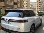 Denza N9-5