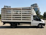 Ford Transit-4