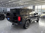 BYD Leopard 8-5