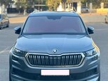 Skoda Kodiaq-1