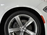 Dodge Charger-14