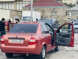 Saipa Tiba-14