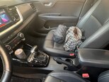 Kia Stonic-13