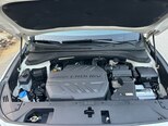 Hyundai Santa Fe-13
