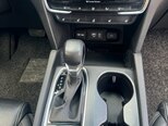 Hyundai Santa Fe-21