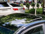 Hyundai Sonata-7