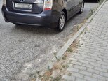 Toyota Prius-2