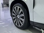 Denza N9-10