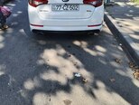 Kia Optima-2