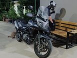 Suzuki V-Strom 650-9
