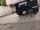 Foton Forland-5