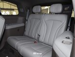 Denza N9-19