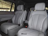 Denza N9-17